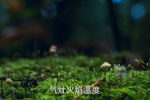天然氣溫度正常調(diào)多高,冬季如何調(diào)節(jié)天然氣熱水器的溫度...